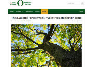 Invite municipal candidates to a tree-loving event during National Forest Week