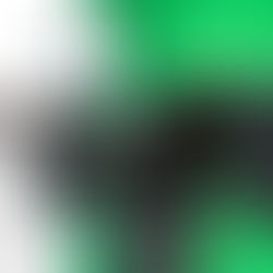 Einblicke in die Welt der Video- & Fotografie