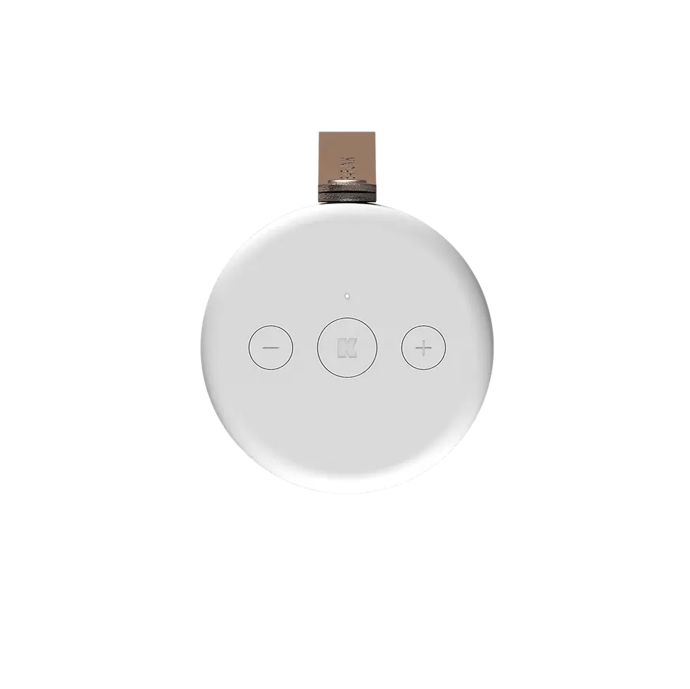 Miniatyrbilde: aCOUSTIC trådløs høyttaler