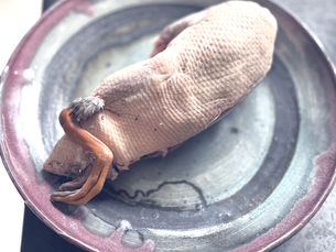 11月29日いい肉の日