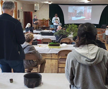 A bonsai club meeting at Live Oak Grange, officers are stood at the front while members sit at tables with trees.