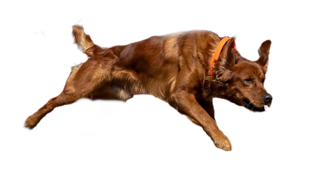 image2 (1)_edited.png