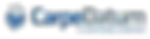 CarpeDatum-Converge Logo_edited_edited.png