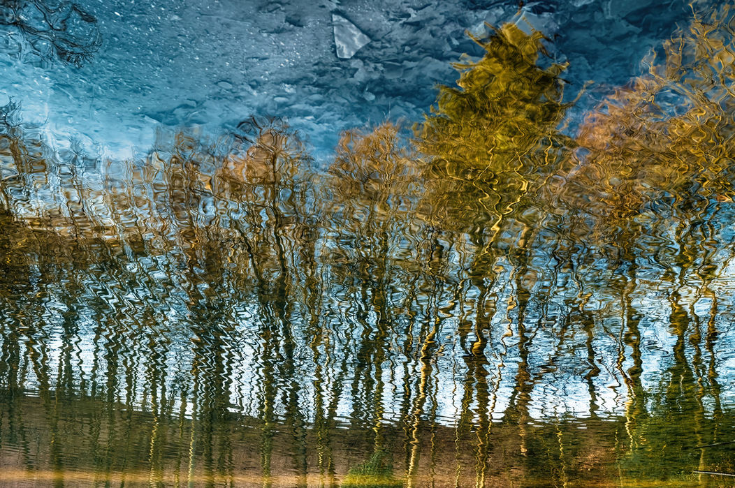 Peter Suck, Fotograf, Spiegelungen, Unsinkbar, Wasser, Natur, Format 60x40, Bildtitel Am See