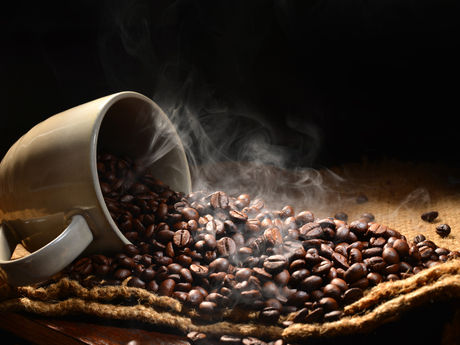 Café e Sustentabilidade: Como a Sombra das Árvores Ajuda no Combate ao Aquecimento Global