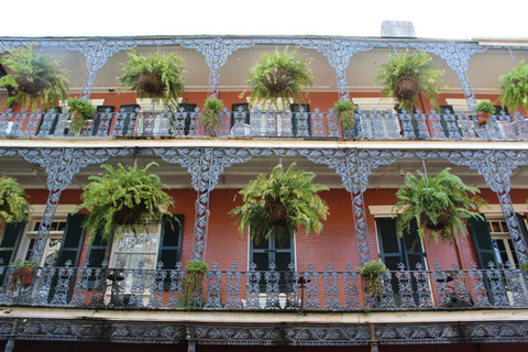 French Quarter Balconies, Rails, and Ferns, New Orleans, Louisiana, November 10, 2019.JPG