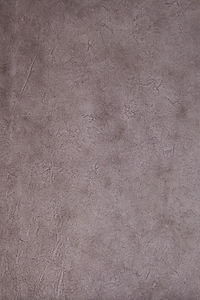 Dyed Plum