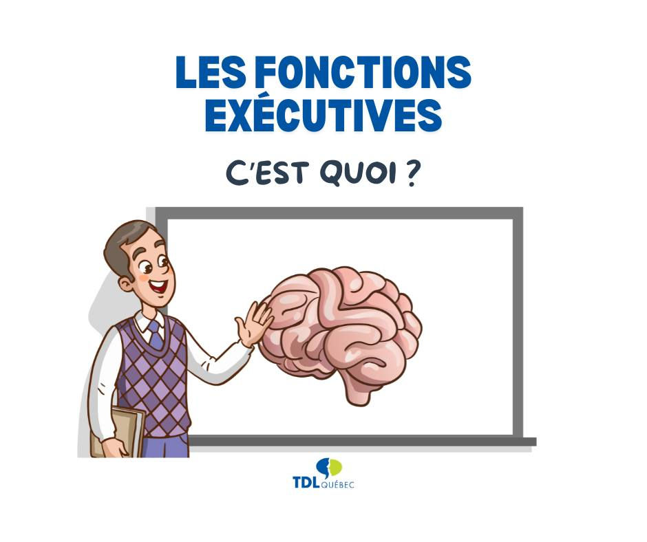 Illustration couverture document TDL