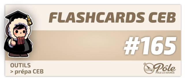 165 — Flashcards CEB