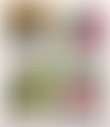 Hope springs eternal!