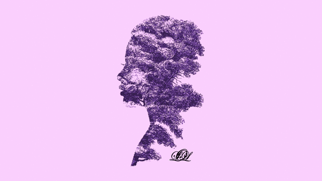 combination-2.gif