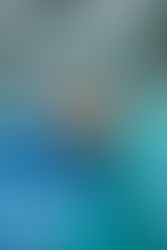 Palliative Sedation in the Netherlands