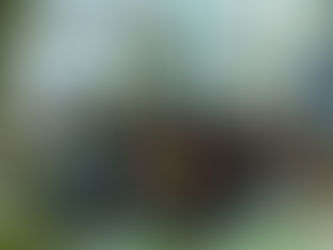 The iLIVE Project research, ready for the end of the project in 2023