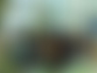 Raziskovalni doprinos za izboljšave oskrbe ob izteku življenja in smrti