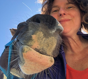 Donna Horse mouth