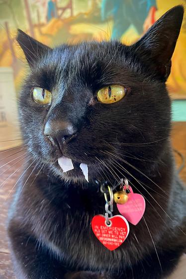Beefcake paper fangs