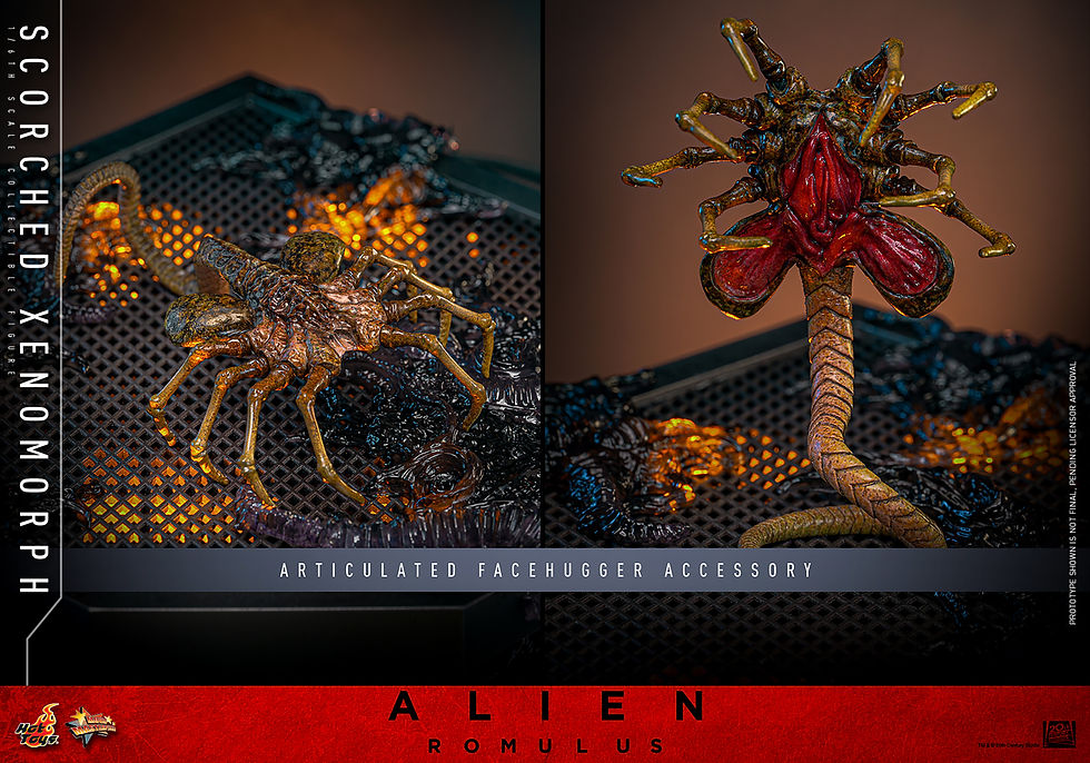 Thumbnail: Hot Toys – Alien: Romulus Scorched Xenomorph Sixth Scale Figure (17")