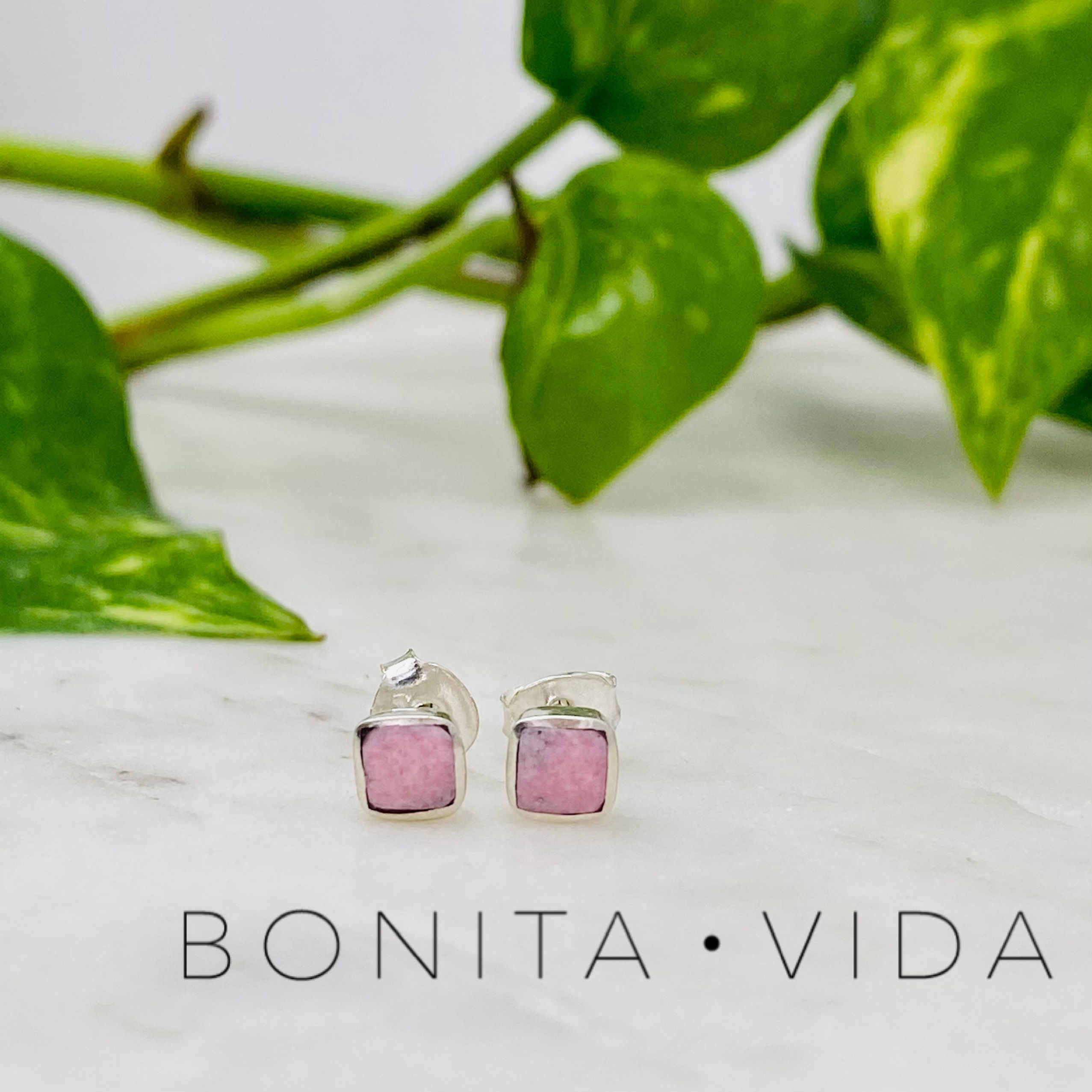 MINI ARETES - RODONITA 