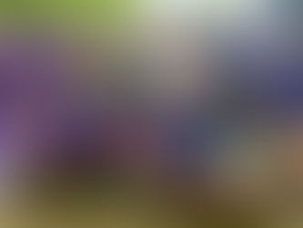 Summer Rocketry was Out of this World!