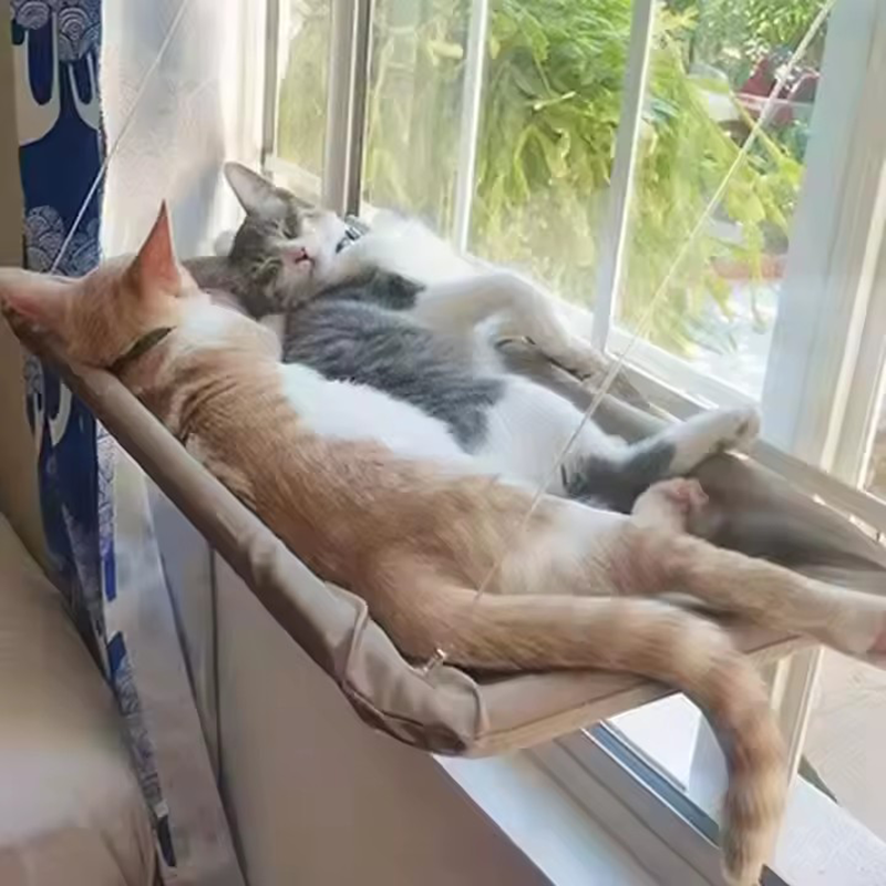 Cat Window Hanging Bed