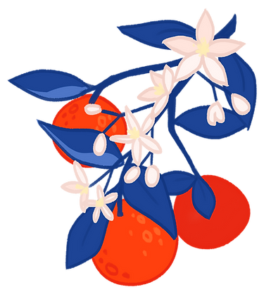orng_edited.png