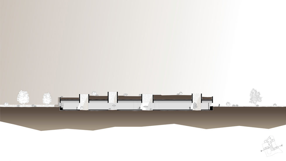 progetto museo agricoltura tenerife