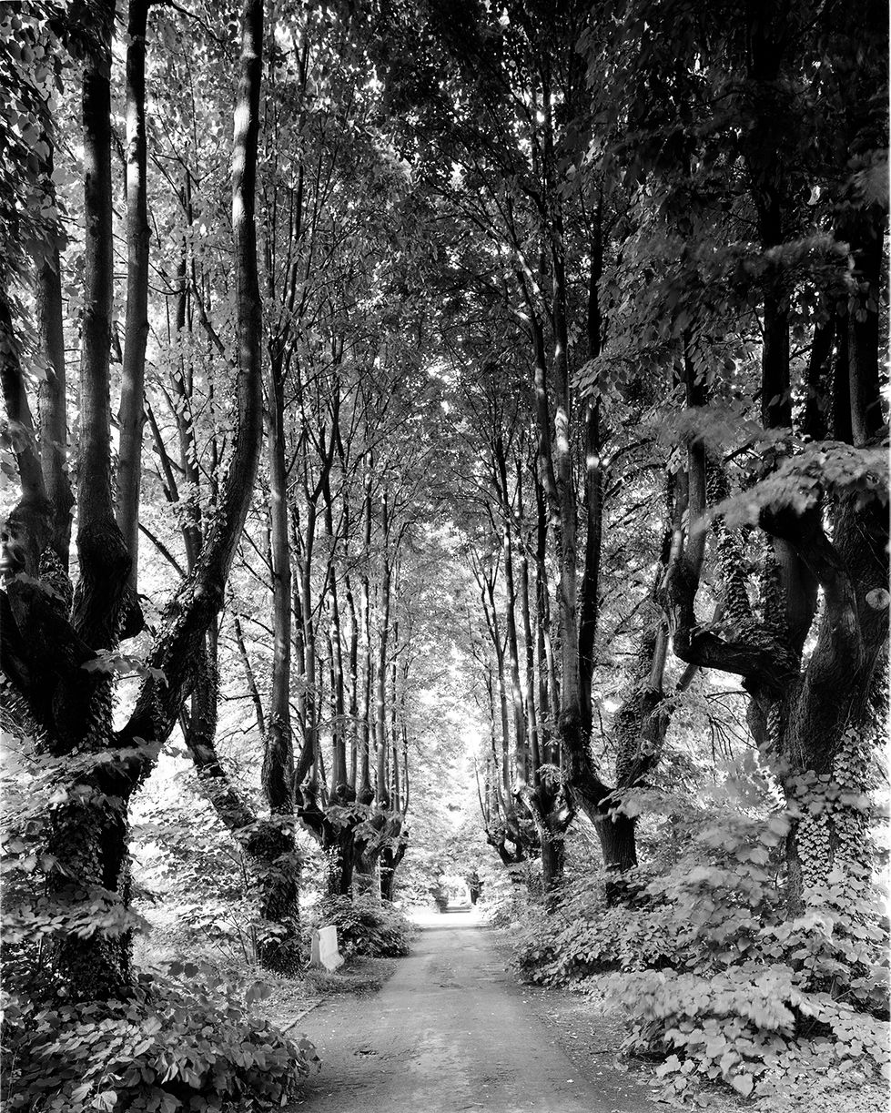 ex manicomio mombello