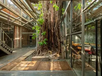 Restaurant Review: Banyan Tree Café