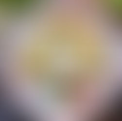 Bombay Masala Toast Recipe 