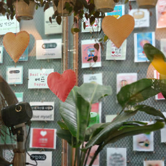 This Korean Cafe has to be in your bucket list