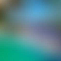 Review : Magnolia Varkala 