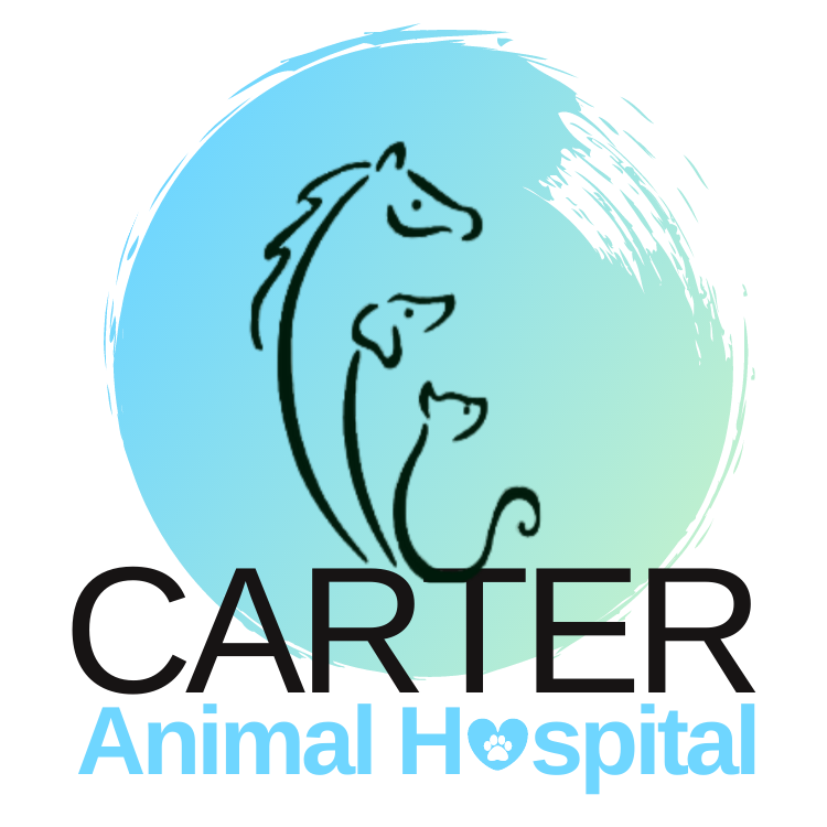 Carters pet hospital discount