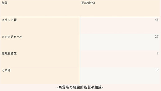 こまっきーオイル 角質層の細胞間脂質の組成.jpg
