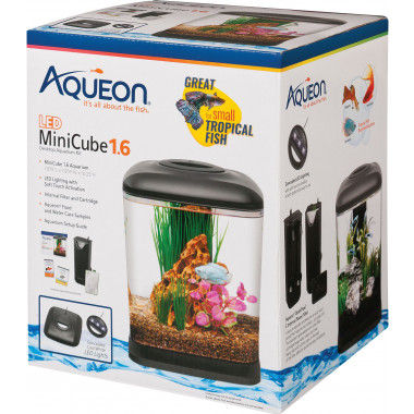 Aqueon Desktop Aquarium Kit