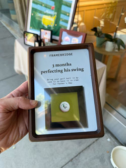 Framebridge Promo