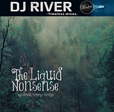 cd_cover_dj_river_-_liquid_nonsense_vol_1_-_autumn_2006_front.png