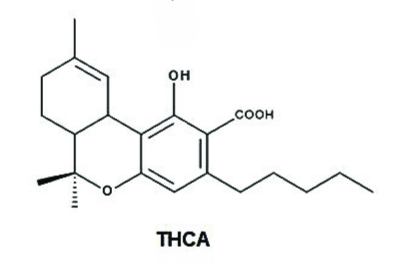 THCA Chemical Structure