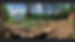 Lot Clearing 1.jpeg