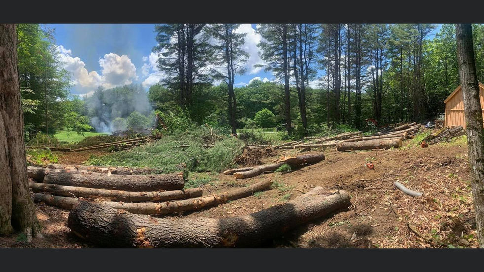 Lot Clearing 1.jpeg