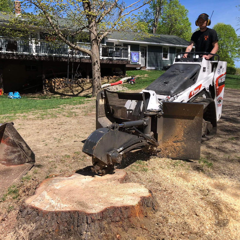 Stump Grinding 2.jpeg