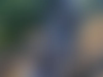 Se aproxima una vendimia con grandes expectativas.