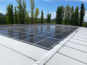 Sala de barricas 100% verde