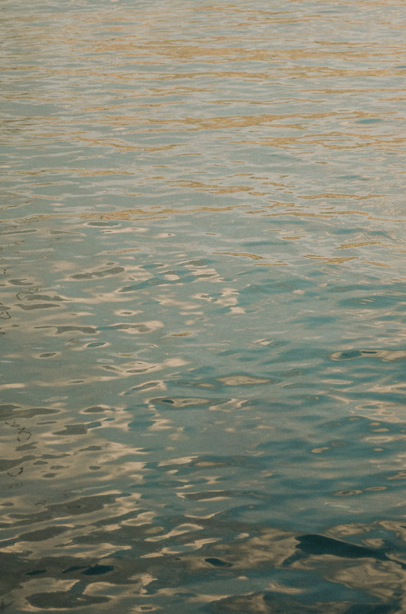 DSC_0140.JPG