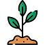 icone plante.png