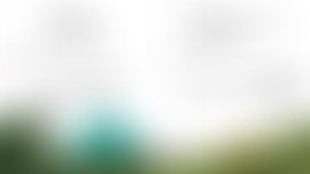 アルゴランドの2025+ロードマップ：実世界での利用のための構築