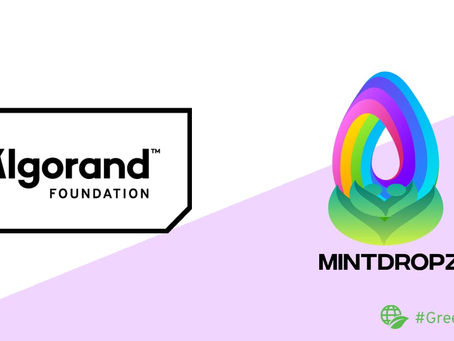Mintdropz NFT Marketplaceがアルゴランド財団助成金を獲得