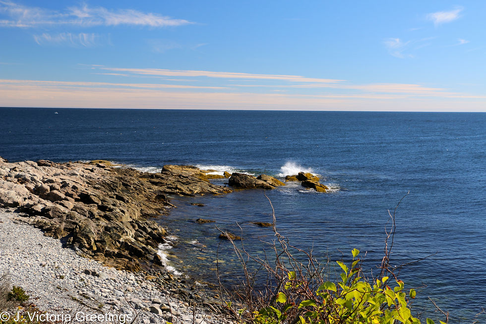Waves Crashing in Audobon