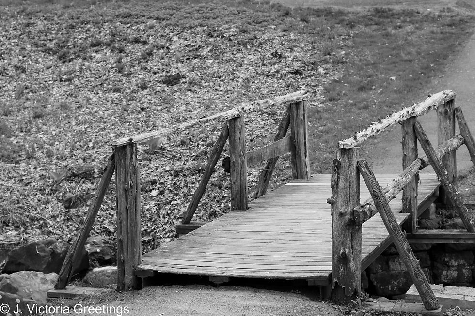 Bridge in the Park- W