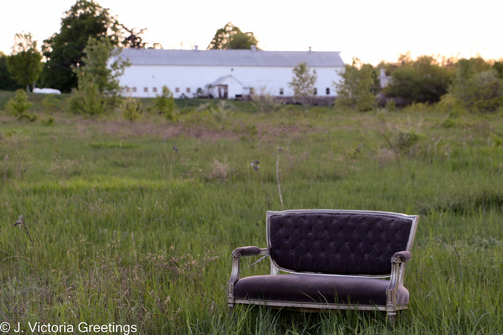 Seat in the field