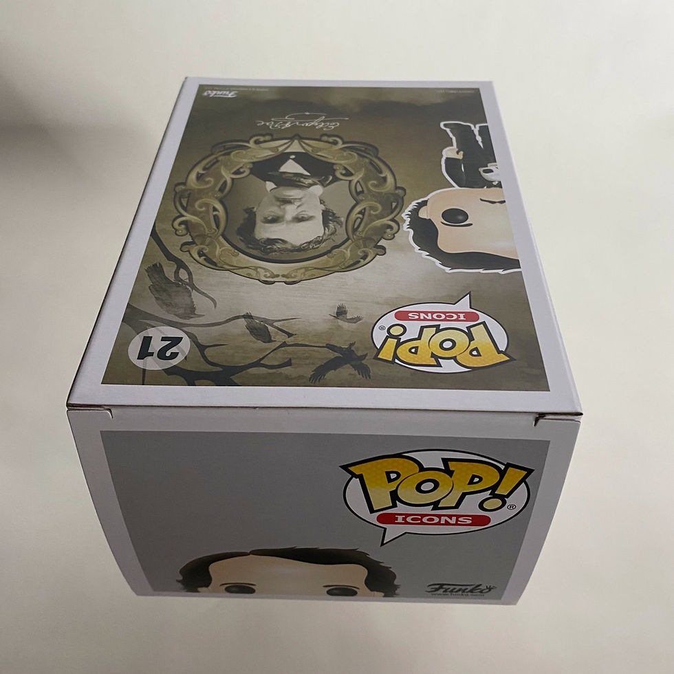 Thumbnail: Edgar Allan Poe with Skull Funko Pop! Vinyl Figure #21 back